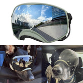 NAMSAN dog goggles with green band secure wear during outdoor adventures