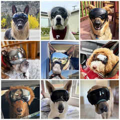 NAMSAN dog goggles soft inner padding enhances comfort during long wear.