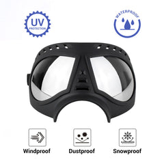 NAMSAN dog goggles UV glare protection for sunny car trips.