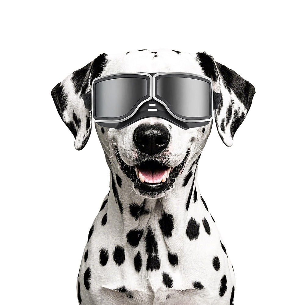 NAMSAN dog goggles UV protection for bright sun during outdoor adventures.