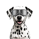 NAMSAN dog goggles UV protection for bright sun during outdoor adventures.