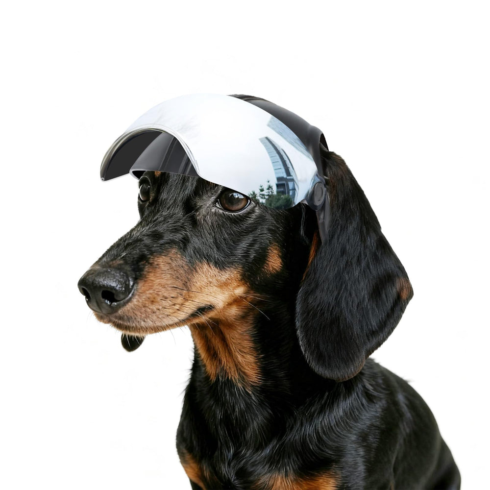 NAMSAN dog helmet with soft cushion inner for comfort