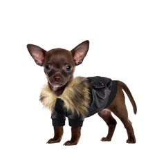 NAMSAN small dog winter coat front view with PU leather exterior for cold-day walks.