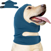 Nanaki Calming Hoodie ear wrap on a dog's head helps calm nerves and keep ears dry.