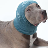 Nanaki calming hoodie on a dog supports relaxed calmness during storms