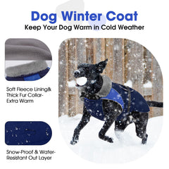 Nanaki dog jacket fleece lining adds cozy warmth during chilly morning walks.