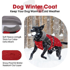 Nanaki dog jacket features a furry collar for cozy warmth during outdoor walks.
