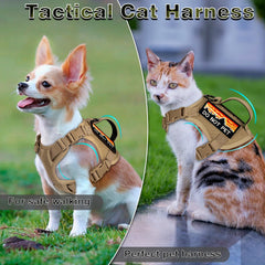 Nanappice harness D-ring and handle for secure leash control