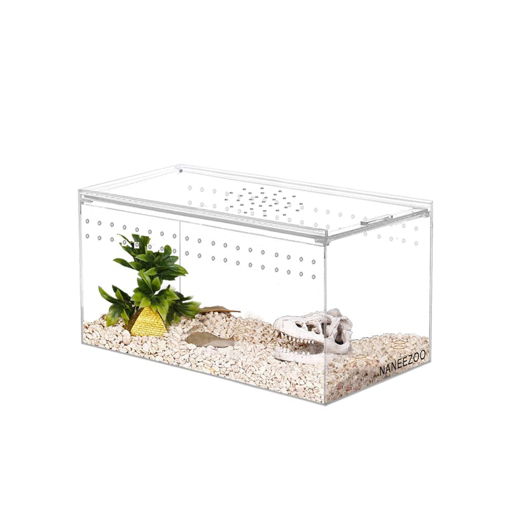 NANEEZOO magnetic terrarium front view offers crystal-clear visibility for daily observation