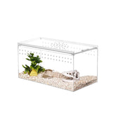 NANEEZOO magnetic terrarium front view offers crystal-clear visibility for daily observation