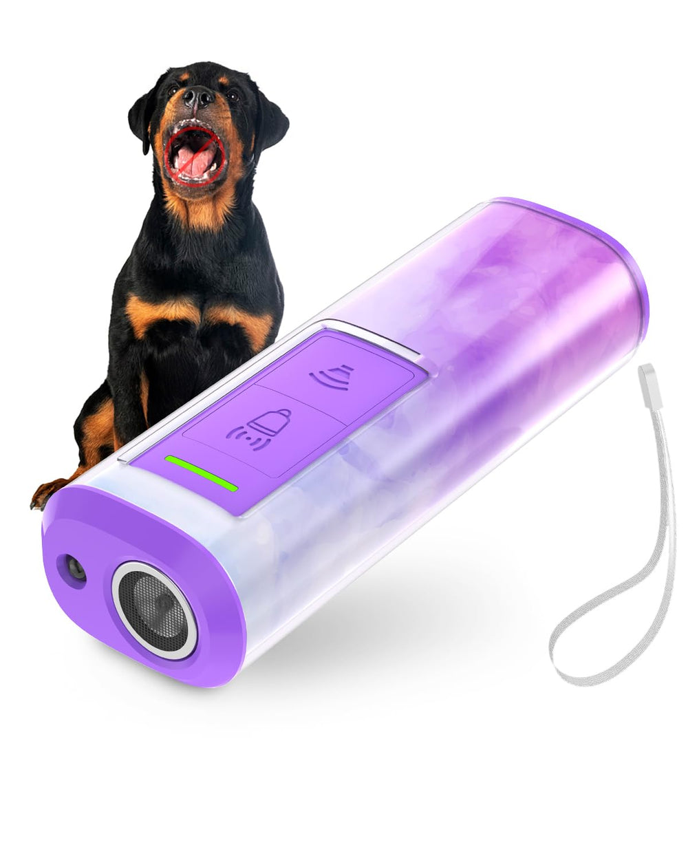 Nasebila dog bark deterrent indoors-outdoors in use for gentle training and boundary setting