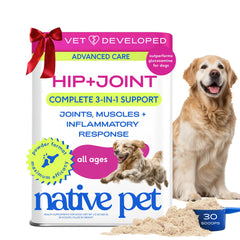 Native Pet Advanced Care hip joint powder blends into meals for steady joint support.