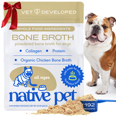 Native Pet bone broth powder bowl served enhances meal appeal and hydration.