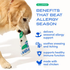 Native Pet Dog Allergy Chews packaging USA-made logo signaling quality and skin support