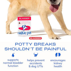Native Pet Dog UTI Treatment chews closeup showing real chicken flavor
