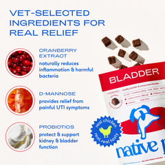 Native Pet real chicken flavor image emphasizing palatability and bladder care