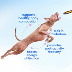 Native Pet Goat Milk Dog Hydration Topper enhances hydration and meal flavor