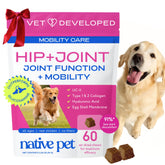 Native Pet hip and joint chews bottle close-up showing real chicken flavor for daily mobility support