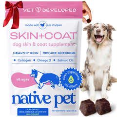 Native Pet Omega Skin & Coat Chews bottle—promotes a healthy fur shine.