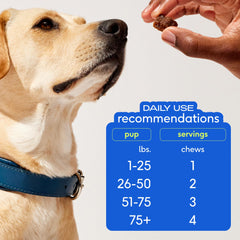 Native Pet Omega Skin & Coat Chews ingredients panel features salmon oil and collagen.