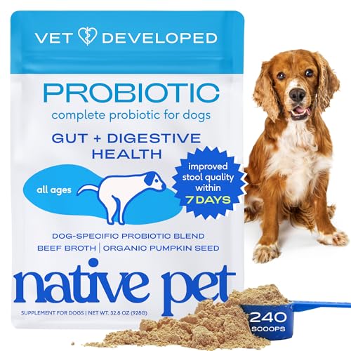 Native Pet Probiotics for Dogs bottle closeup showing potent 6B CFUs supporting gut health