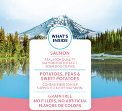 Natural Balance Mini Rewards salmon ingredients panel emphasizing grain-free formula.