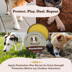 Before-walk PawTection application protecting paws from heat