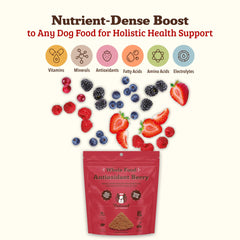 Natural Dog Company Antioxidant Berry Granules scoop dispensing over dry food