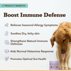 Natural Dog Company colostrum-turmeric-echinacea ingredients close-up highlighting immune and allergy support.