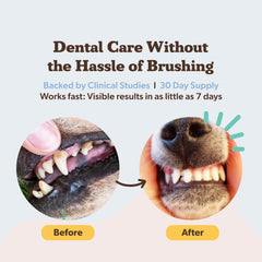Natural Dog Company dental powder being sprinkled on dog food for easy no-brush use