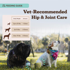 Natural Dog Company hip-joint chews bottle scene showing daily dosage