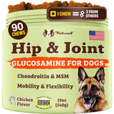 Natural Dog Company hip-joint supplement bottle closeup showing product packaging and label.