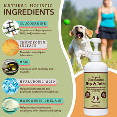 Natural Dog Company Liquid Glucosamine bottle showcasing joint support nutrients