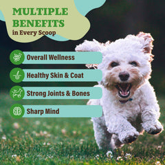 Natural Dog Company Super Greens mixed into dog meal for a tasty boost