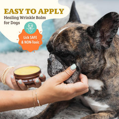 Natural Dog Company travel stick for on-the-go paw care and protection.