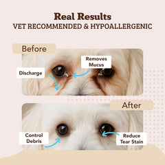 Natural Dog Eye Wipes: uso cercano a ojos para limpieza suave y segura.