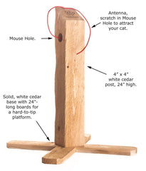 Natural Scratch cedar post side view highlighting durable wood and balanced X-base