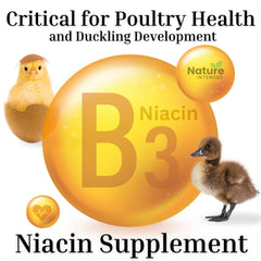 Nature INTENDED Brewers Yeast Probiotics ducks feeding shows stress-support nutrition