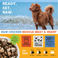 Nature's Diet Raw Mix Kibble superfoods image signals nutrient-dense ingredients
