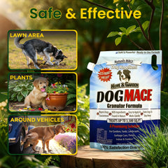 Nature's MACE Dog Mace treated lawn border showing protected area