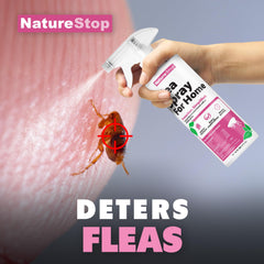 NatureStop Flea Spray on carpets for fast flea control in high-traffic areas