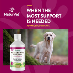 NaturVet ArthriSoothe-Gold liquid formula close-up for daily use.