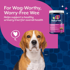 NaturVet Cranberry Relief Plus Echinacea bottle beside a dog for daily urinary and immune support