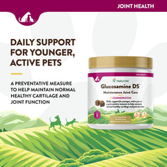 NaturVet Glucosamine DS Level 1 ingredients chart highlights glucosamine and chondroitin.