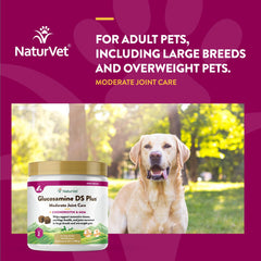 NaturVet Glucosamine DS Plus Level 2 ingredients panel highlighting MSM, chondroitin and antioxidants.