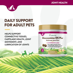 NaturVet Glucosamine DS Plus Level 2 tube and pack for daily joint health.