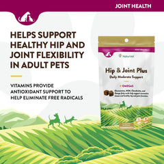 NaturVet Hip & Joint Plus Soft Chew bite-sized treats designed to support comfortable movement.