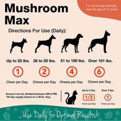 NaturVet Mushroom Max ingredients chart featuring maitake, shiitake, turkey tail, and reishi.