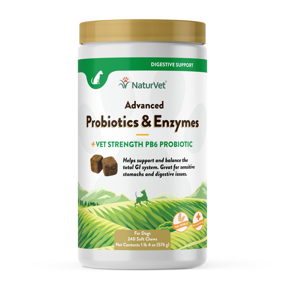 NaturVet PB6 dog soft chews bottle front highlights bacon flavor for digestion support.