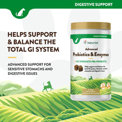 NaturVet PB6 dog soft chews label ingredients shows probiotic enzymes blend for balanced digestion.